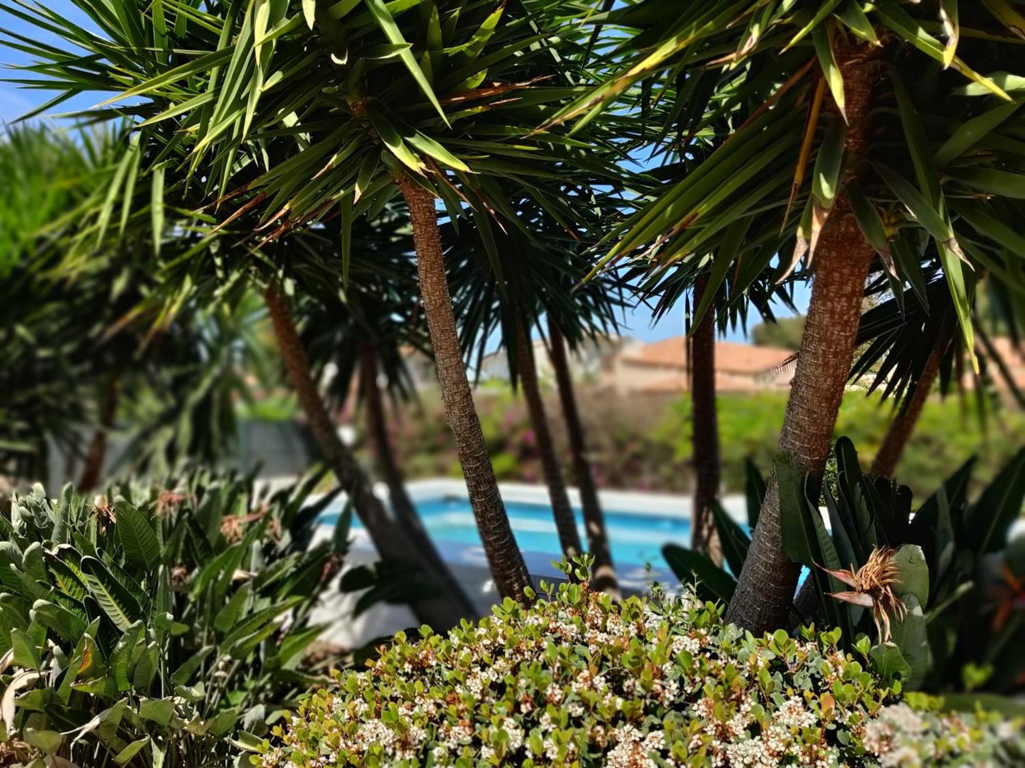 Pool Seaside Relais - Ville Ninfea, Marea, Rosa E Cassiopea Fontane Bianche Dış mekan fotoğraf